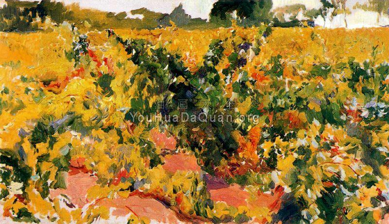 Study of Vineyard - 华金·索罗利亚·巴斯蒂达